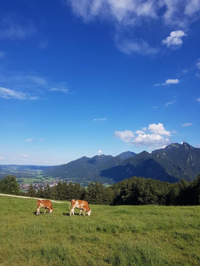 Ferienhaus Chiemgauer Auszeit- Chiemgaukarte Inclusive Siegsdorf Dış mekan fotoğraf