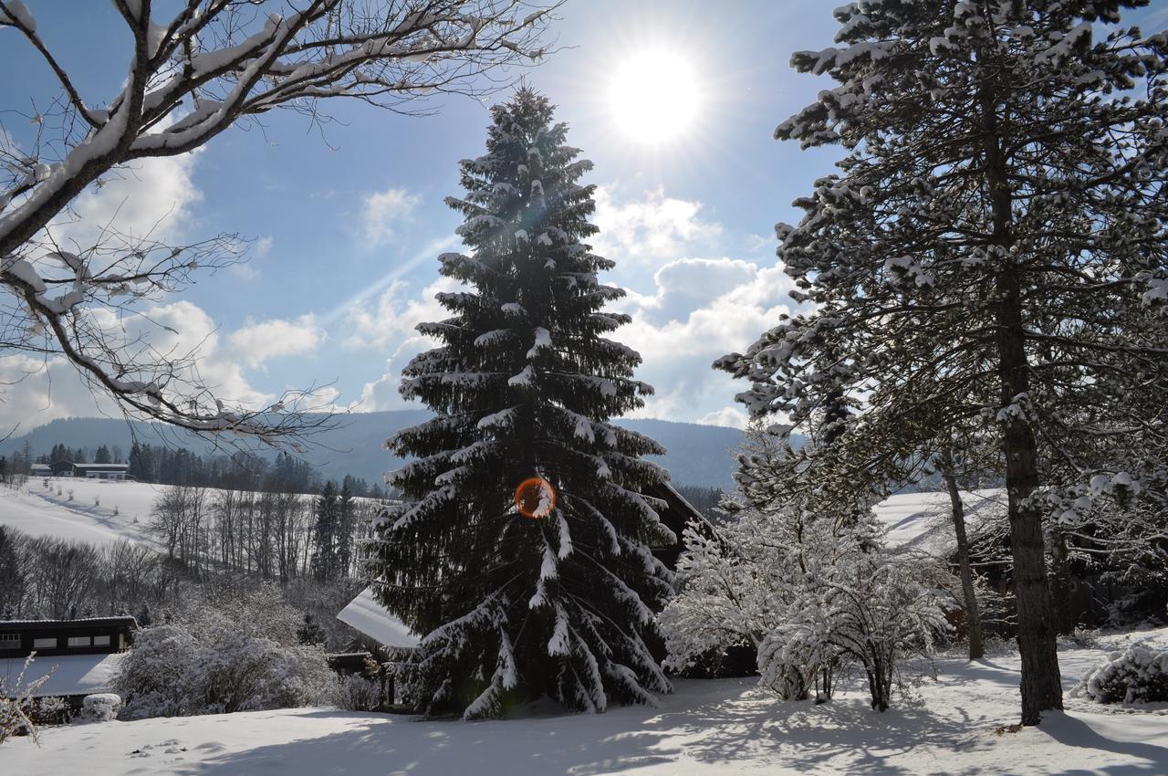 Ferienhaus Chiemgauer Auszeit- Chiemgaukarte Inclusive Siegsdorf Dış mekan fotoğraf