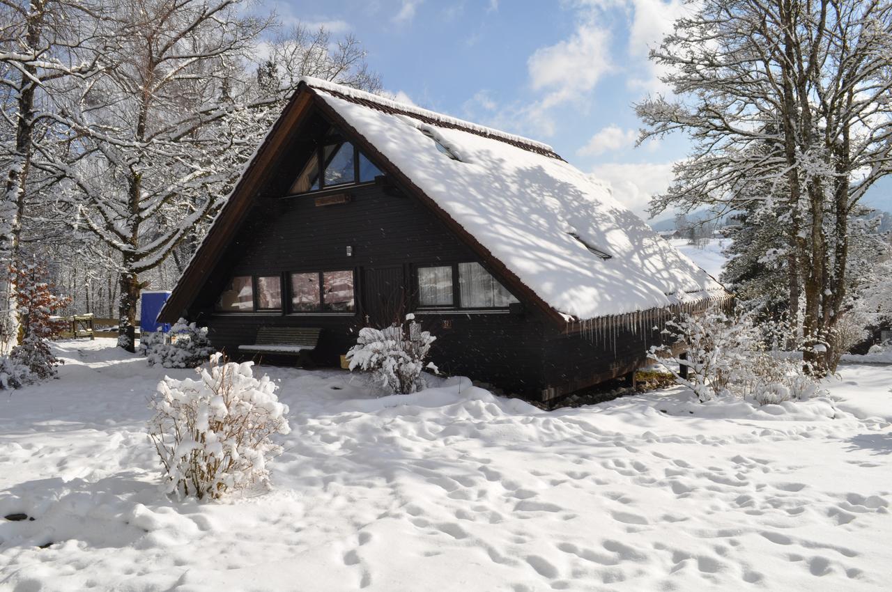 Ferienhaus Chiemgauer Auszeit- Chiemgaukarte Inclusive Siegsdorf Dış mekan fotoğraf