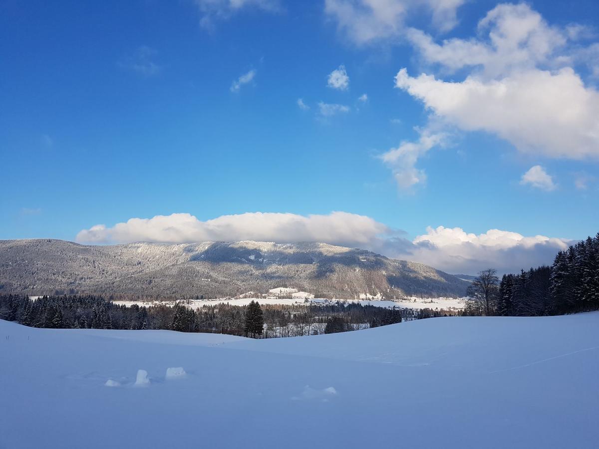 Ferienhaus Chiemgauer Auszeit- Chiemgaukarte Inclusive Siegsdorf Dış mekan fotoğraf