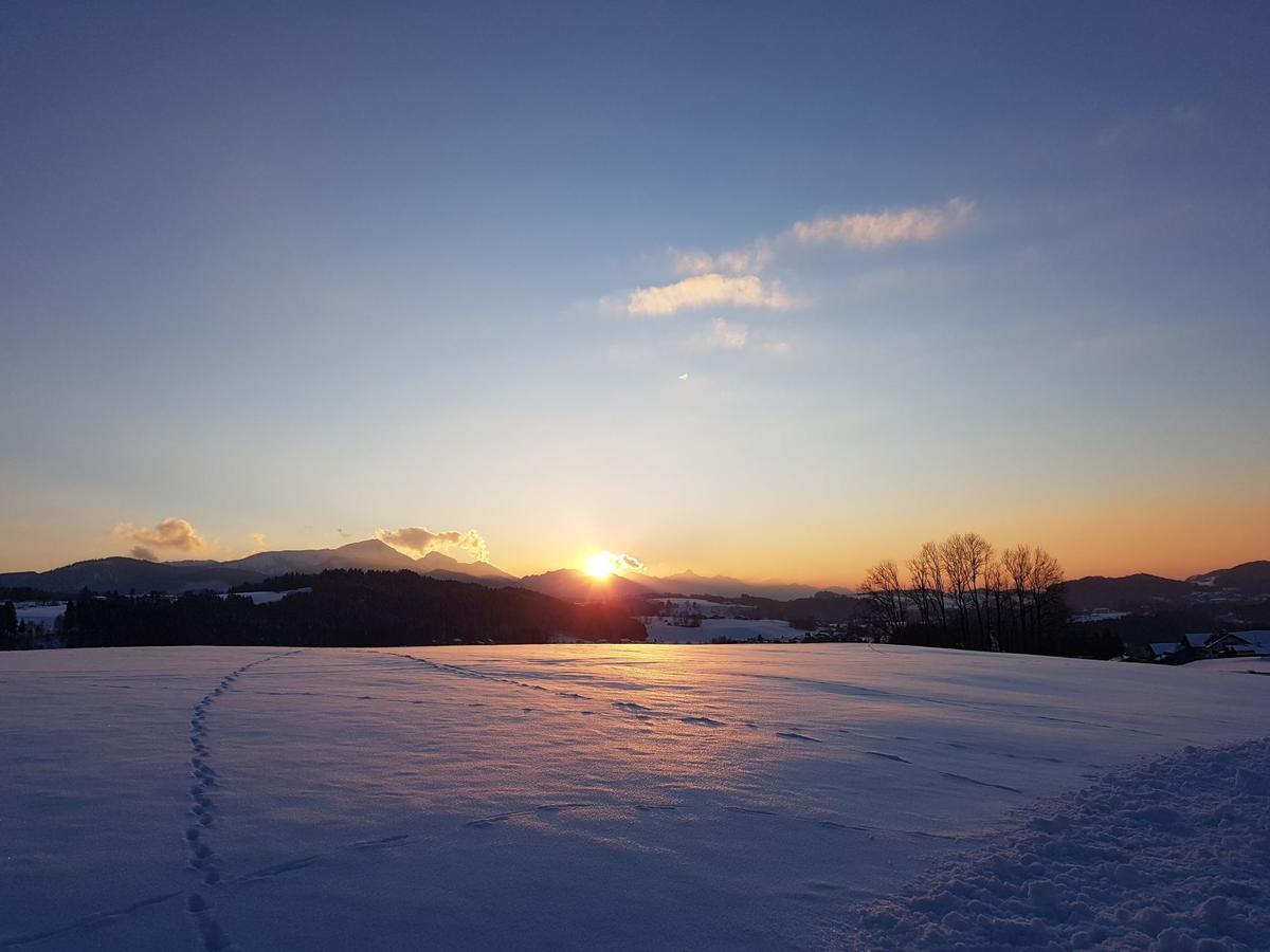 Ferienhaus Chiemgauer Auszeit- Chiemgaukarte Inclusive Siegsdorf Dış mekan fotoğraf