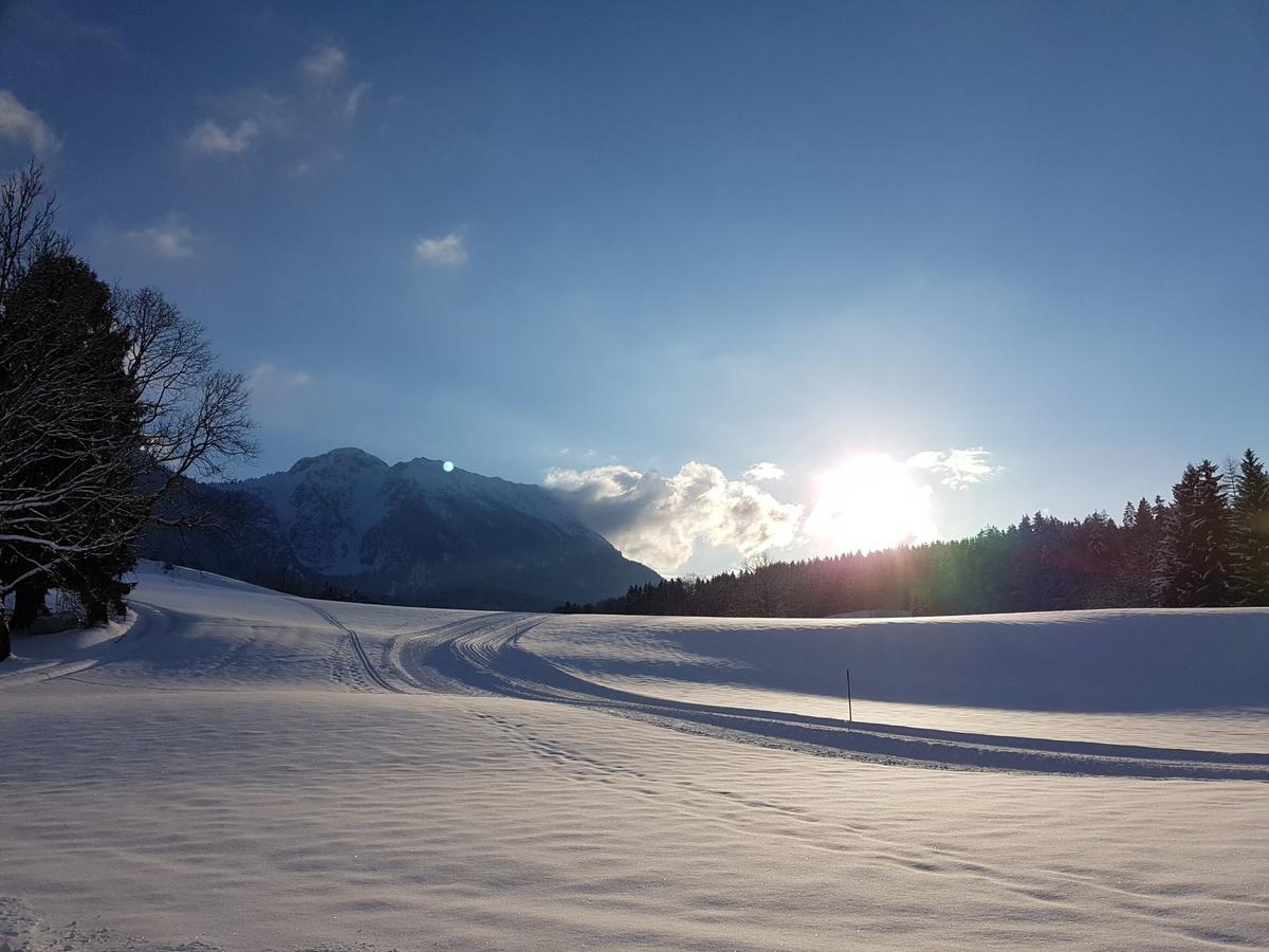 Ferienhaus Chiemgauer Auszeit- Chiemgaukarte Inclusive Siegsdorf Dış mekan fotoğraf