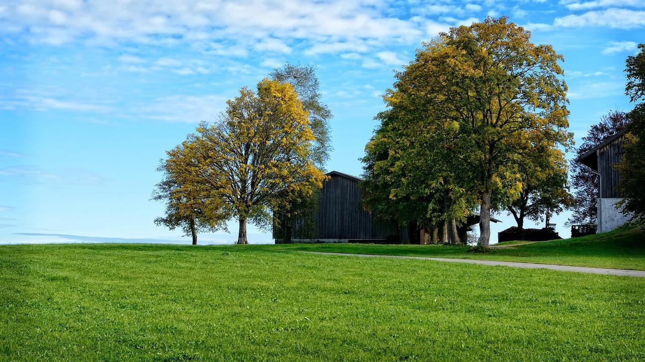 Ferienhaus Chiemgauer Auszeit- Chiemgaukarte Inclusive Siegsdorf Dış mekan fotoğraf